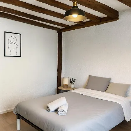 Lägenhet Historique - Maison David D Angers