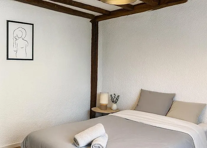 Apartamento Historique - Maison David D Angers